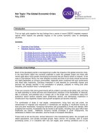 Tài liệu Hot Topic: The Global Economic Crisis pdf