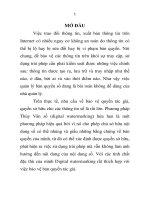 Nghiên cứu xác định bản quyền ảnh số bằng kỹ thuật thủy vân số (digital watermarking)