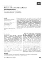Tài liệu Báo cáo khoa học: Histones in functional diversification Core histone variants pdf