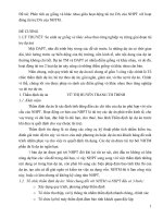 phân tích sự giống và khác nhau giữa hoạt động tài trợ da của nhpt với hoạt động tài trợ da của nhtm