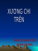 Tài liệu XƯƠNG CHI TRÊN potx