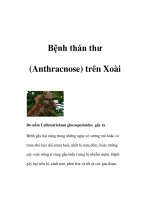 Tài liệu Bệnh thán thư (Anthracnose) trên Xoài ppt