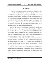 giải pháp phát triển hoạt động môi giới tại công ty chứng khoán                    biển việt