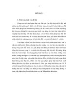phương hướng và giải pháp để hoàn thiện  cơ chế điều chỉnh pháp luật việt nam
