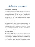 Tài liệu Mở rộng thị trường toàn cầu pptx