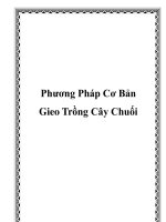Tài liệu Phương Pháp Cơ Bản Gieo Trồng Cây Chuối docx