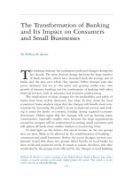Tài liệu The Transformation of Banking and Its Impact on Consumers and Small Businesses docx