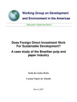 Tài liệu Does Foreign Direct Investment Work For Sustainable Development? A case study of the Brazilian pulp and paper industry potx
