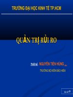 Tài liệu QUẢN TRỊ RỦI RO BẢO HIỂM doc