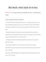 Tài liệu Bài thuốc chữa bệnh từ bí đao pot