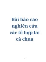 bài báo cáo nghiên cứu các tổ hợp lai cà chua