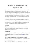 Tài liệu Sử dụng CGI Script với Nginx trên OpenSUSE 11.4 pptx