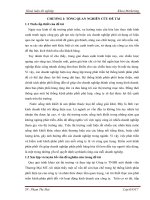 Giải pháp phát triển kênh phân phối sản phẩm tại công ty TNHH thương mại MT