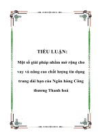 Một số giải pháp nhằm mở rộng cho vay và nâng cao chất lượng tín dụng trung dài hạn của Ngân hàng Công thương Thanh hoá
