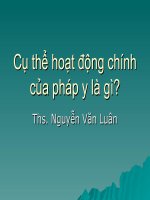 Tài liệu Cụ thể hoạt động chính của pháp y là gì? pdf