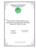 Tài liệu TIỂU LUẬN:CHẨN ĐOÁN VIRUS PRRS (Porcine Reproductive and Respiratory Syndrome) BẰNG KỸ THUẬT ELISA docx