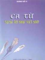 ca từ trong âm nhạc việt nam