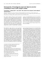 Tài liệu Báo cáo khóa học: Heterogeneity of homologously expressed Hypocrea jecorina (Trichoderma reesei ) Cel7B catalytic module pptx