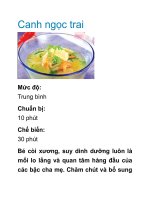 Tài liệu Canh ngọc trai docx