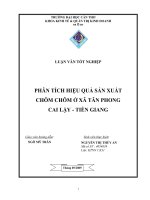 Tài liệu LUẬN VĂN TỐT NGHIỆP : PHÂN TÍCH HIỆU QUẢ SẢN XUẤT CHÔM CHÔM Ở XÃ TÂN PHONG CAI LẬY - TIỀN GIANG ppt