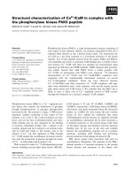 Tài liệu Báo cáo khoa học: Structural characterization of Ca2+/CaM in complex with the phosphorylase kinase PhK5 peptide pdf