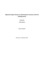 Tài liệu High-level Expert Group on reforming the structure of the EU banking sector docx