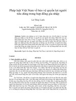 Pháp luật việt nam về bảo vệ quyền lợi người tiêu dùng trong hợp đồng gia nhập
