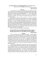 Tài liệu BÁO CÁO 