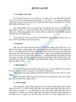 Tài liệu BỆNH GẠO BÒ pdf