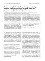 Tài liệu Báo cáo khoa học: Modulation of cyclin D1 and early growth response factor-1 gene expression in interleukin-1b-treated rat smooth muscle cells by n-6 and n-3 polyunsaturated fatty acids pdf