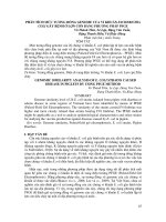 Tài liệu BÁO CÁO 