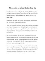 Tài liệu Nhập viện vì uống thuốc chán ăn pdf