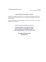 Tài liệu Brazil: Financial System Stability Assessment pptx