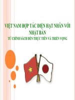 Tài liệu VIỆT NAM HỢP TÁC ĐIỆN HẠT NHÂN VỚI NHẬT BẢNTỪ CHÍNH SÁCH ĐẾN THỰC TIỄN VÀ TRIỂN VỌNG potx