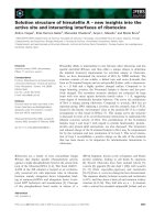 Tài liệu Báo cáo khoa học: Solution structure of hirsutellin A – new insights into the active site and interacting interfaces of ribotoxins docx