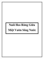 Tài liệu Nuôi Heo Rừng Giữa Miệt Vườn Sông Nước potx