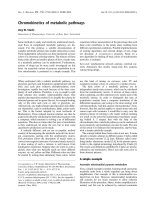 Tài liệu Báo cáo khoa học: Chromokinetics of metabolic pathways doc