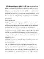 Tài liệu Báo động tình trạng thiếu vi chất ở bà mẹ và trẻ em ppt