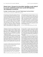 Tài liệu Báo cáo khoa học: Platelet factor 4 disrupts the intracellular signalling cascade induced by vascular endothelial growth factor by both KDR dependent and independent mechanisms ppt