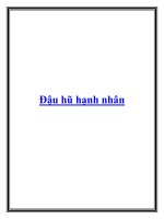 Tài liệu Đậu hũ hạnh nhân ppt
