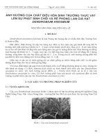 Tài liệu Báo cáo 