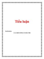 Tài liệu Tiểu luận:CÁC ĐIỂM NÓNG Ở CHÂU PH pptx
