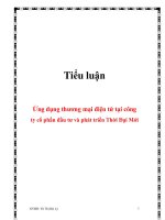 Tài liệu Tiểu luận: Ứng dụng thương mại điện tử tại công ty cổ phần đầu tư và phát triển Thời Đại M pot