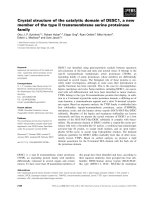 Tài liệu Báo cáo khoa học: Crystal structure of the catalytic domain of DESC1, a new member of the type II transmembrane serine proteinase family pptx
