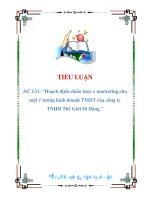 Tài liệu TIỂU LUẬN ĐỀ TÀI: “Hoạch định chiến lược e marketing cho một ý tưởng kinh doanh TMĐT của công ty TNHH Thế Giới Di Động docx