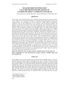 Tài liệu SO SÁNH MỘT SỐ TÍNH CHẤT CỦA CHẾ PHẨM ENZYME LIPASE TỪ CANDIDA RUGOSA VÀ PORCINE PANCREAS pot