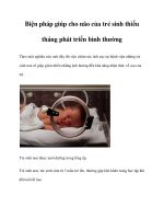 Tài liệu Biện pháp giúp cho não của trẻ sinh thiếu tháng phát triển bình thường docx