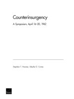 Tài liệu Counterinsurgency pptx