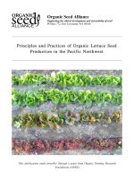 Tài liệu PRINCIPLES AND PRACTICES OF ORGANIC LETTUCE SEED PRODUCTION IN THE PACIFIC NORTHWEST potx