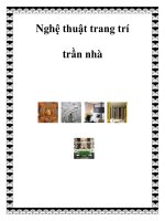 Tài liệu Nghệ thuật trang trí trần nhà pptx